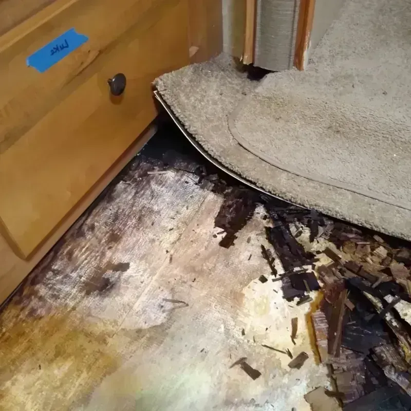 Wood Floor Water Damage in Hampton County, SC